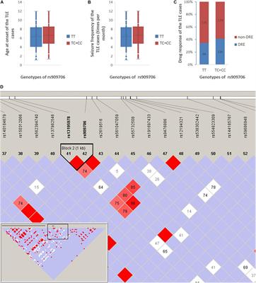 Genetic Effects of the Schizophrenia-Related Gene DTNBP1 in Temporal Lobe Epilepsy